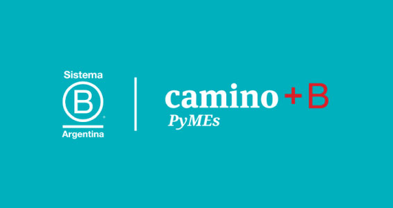 camino_b